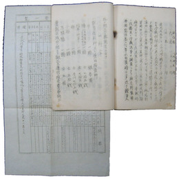 青島屠獣場便覧