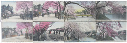 弁慶橋・赤坂の桜