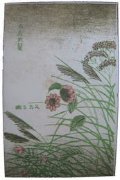 裸婦スカシ画絵葉書　みだれ髪