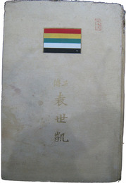 正伝　袁世凱