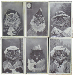 CAT STUDIESシリーズ