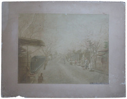 古写真　横浜野毛山の桜