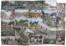 セイロン絵葉書