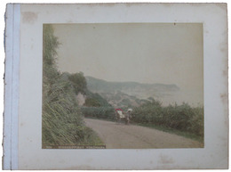 古写真　横浜根岸湾／鎌倉大仏