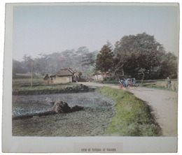 古写真　横浜富岡八幡宮前の海岸／東海道戸塚