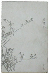 スカシ画絵葉書　岩清水
