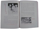 アメリカ陸軍第54総合病院記念誌 54th IN REVIEW A Resume of the Activities of the 54th General Hospital 1943-1945