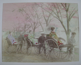 古写真　人力車に乗る女性と桜