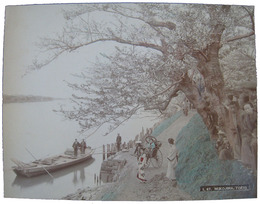 古写真　向島の堤