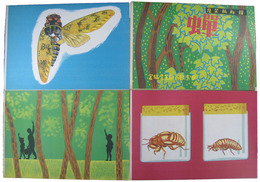 理科紙芝居　蝉