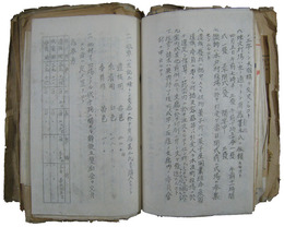 熊本県天草郡本渡町分会参考種類