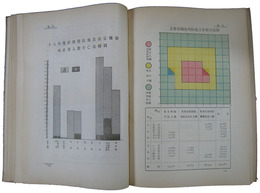 中華民国十八年度　上海市行政統計概要