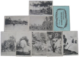 平和記念東京博覧会南洋館記念絵葉書（南洋風物集）