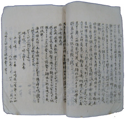 南洋視察報告書