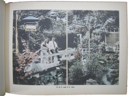 Views of my Home and Garden. Winter-Spring-Summer-Fall. Christmas Greetings and best wishes for the New Year 〔静岡ジークフリード邸写真帖〕