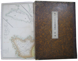 明治二十七八年戦役統計附図