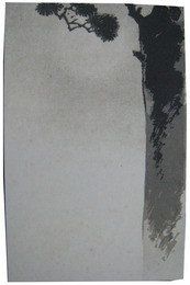 透かし絵葉書　松の木