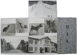 公立大館病院　絵葉書