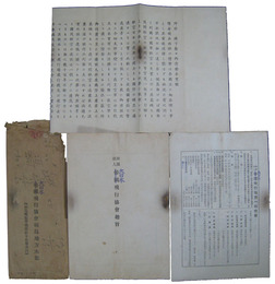 大日本飛行協会趣旨・一般概要