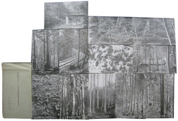 森林構成群ヲ基礎トスル大畑施業実験林絵葉書