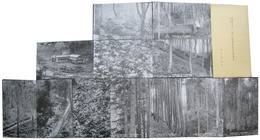 森林構成群ヲ基礎トスル増川施業実験林絵葉書