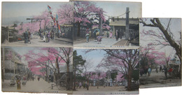 横浜野毛山ノ桜