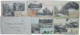 Picture Post Cards OF NEDZU'S RESIDENCE