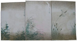 裸婦スカシ画絵葉書