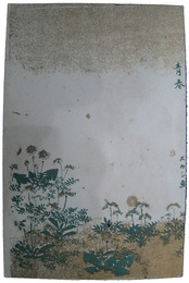 裸婦スカシ画絵葉書　青春