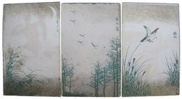 裸婦スカシ画絵葉書