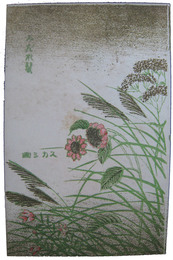 裸婦スカシ画絵葉書　みだれ髪