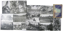 南洋ポナペ島絵葉書