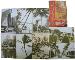 南洋パラオ土産