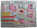 名所絵入　東京新図