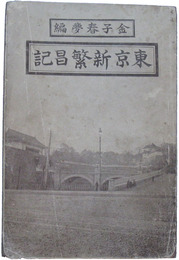 東京新繁昌記