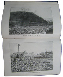 神奈川県震災衛生誌