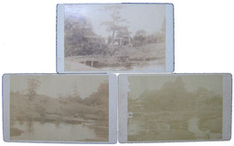 手札写真　熊本水前寺公園