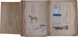 馬術関係資料