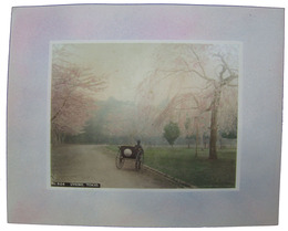 手彩写真　上野公園・日光陽明門