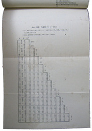 最新南方渡航案内
