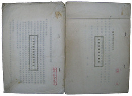 中華民国新民会史