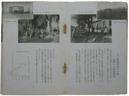 新京特別市政ノ一班　康徳四年一月一日現在