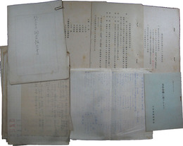 生命保険統制会　南方進出関係文書