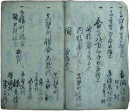 小金野御厩特議定書