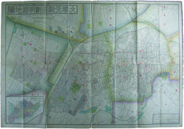 大奉天新区画明細地図