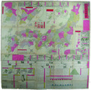 明治改正　大日本精図