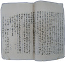 南洋視察報告書