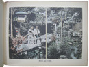 Views of my Home and Garden. Winter-Spring-Summer-Fall. Christmas Greetings and best wishes for the New Year 〔静岡ジークフリード邸写真帖〕