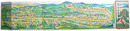 鳥瞰図　高野山大図絵