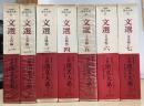 文選　全7冊揃　全釈漢文大系